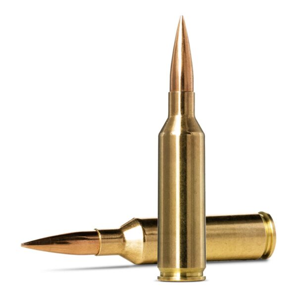 Norma 6.5mm PRC 143gr HPBT Golden Target (GTX) - Image 3